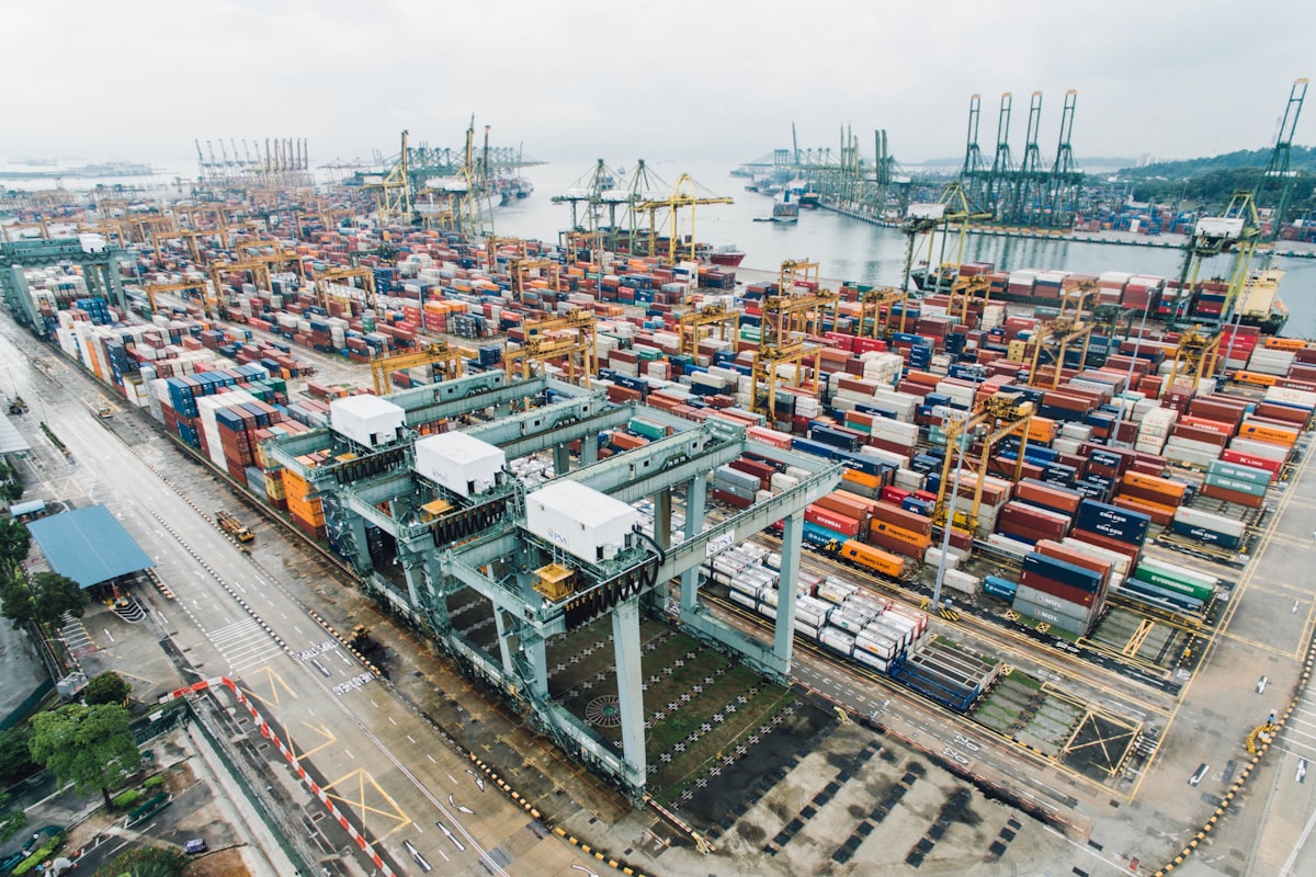 IEC (Import Export Code)